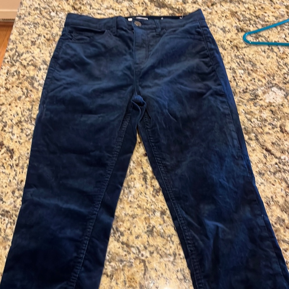 Loft velveteen pants